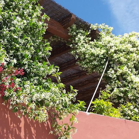 Gato Preto De Silves - Adults Only Bed & Breakfast エクステリア 写真